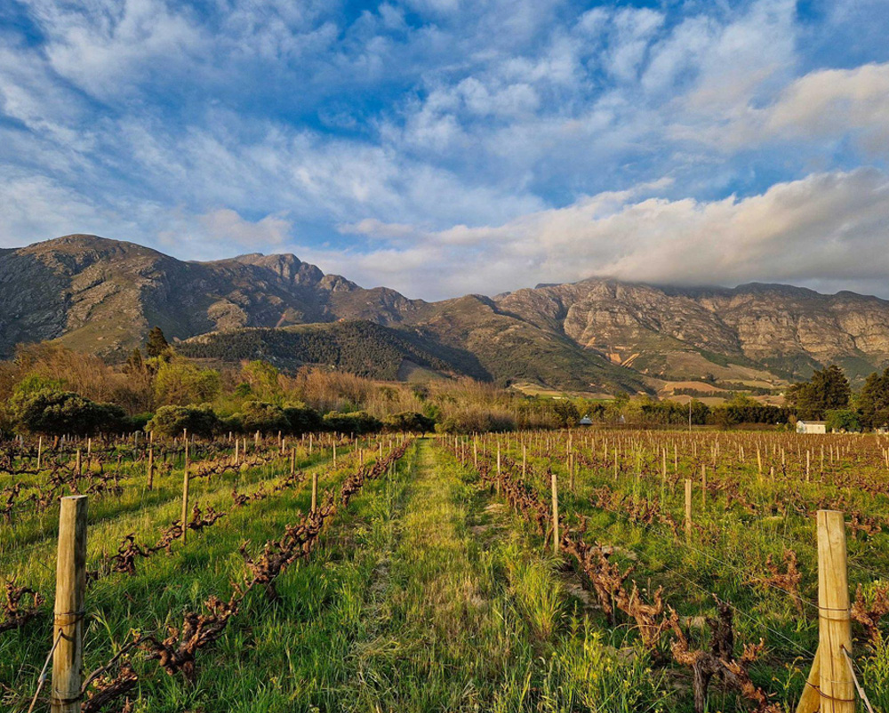 make of food 5 - Franschhoek Wine Tram
