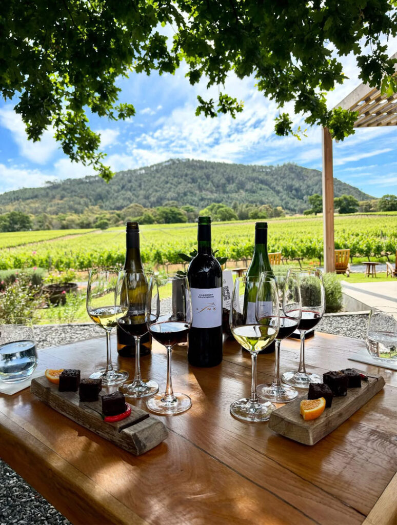 wine-tasting-17